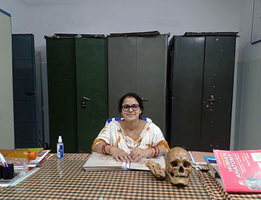 Anatomy